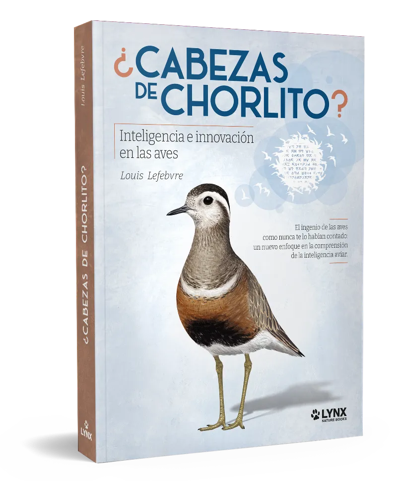 CABEZAS DE CHORLITO?