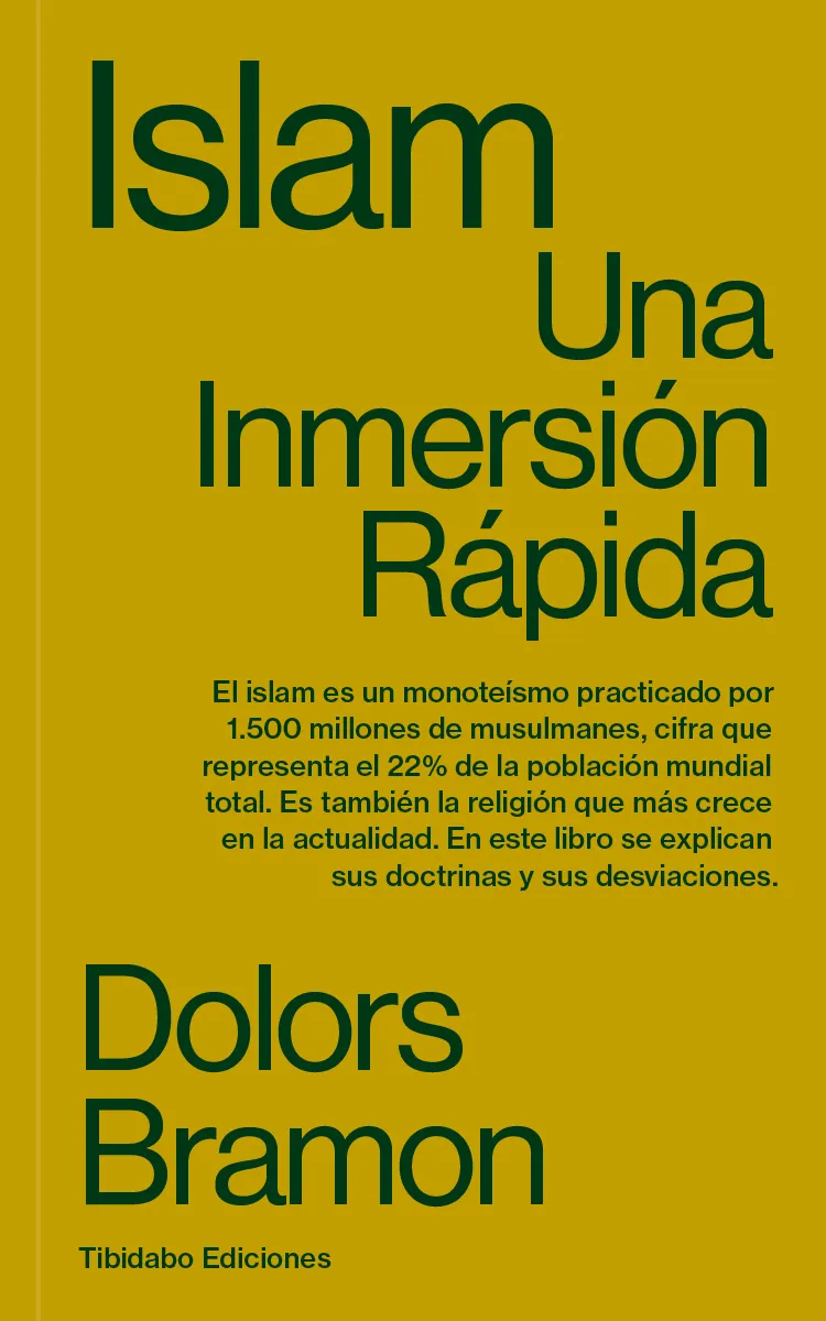 ISLAM.UNA INMERSIÓN RÁPIDA