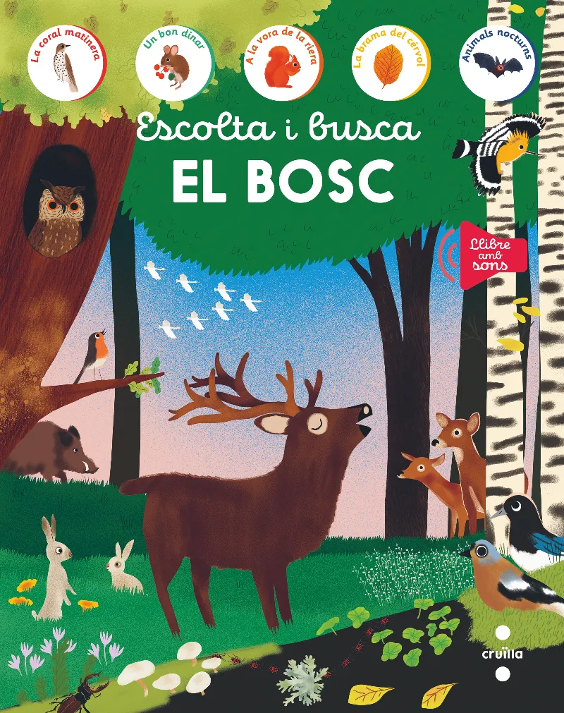 ESCOLTA I BUSCA.EL BOSC