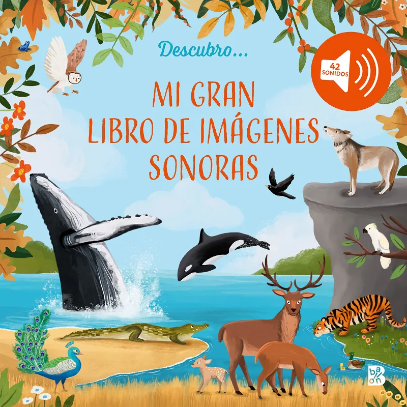 IMAGENES SONORAS