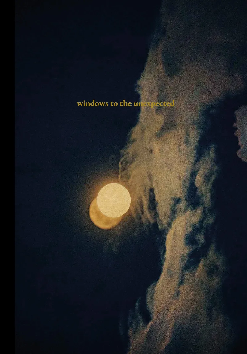 WINDOWS TO THE UNEXPECTED