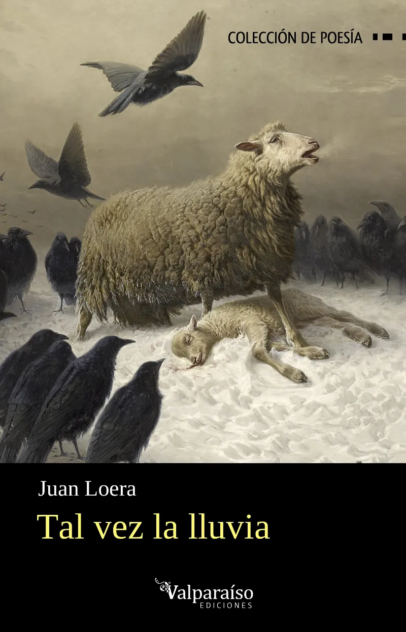 TAL VEZ LA LLUVIA
