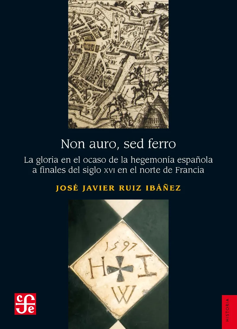 NON AURO SED FERRO