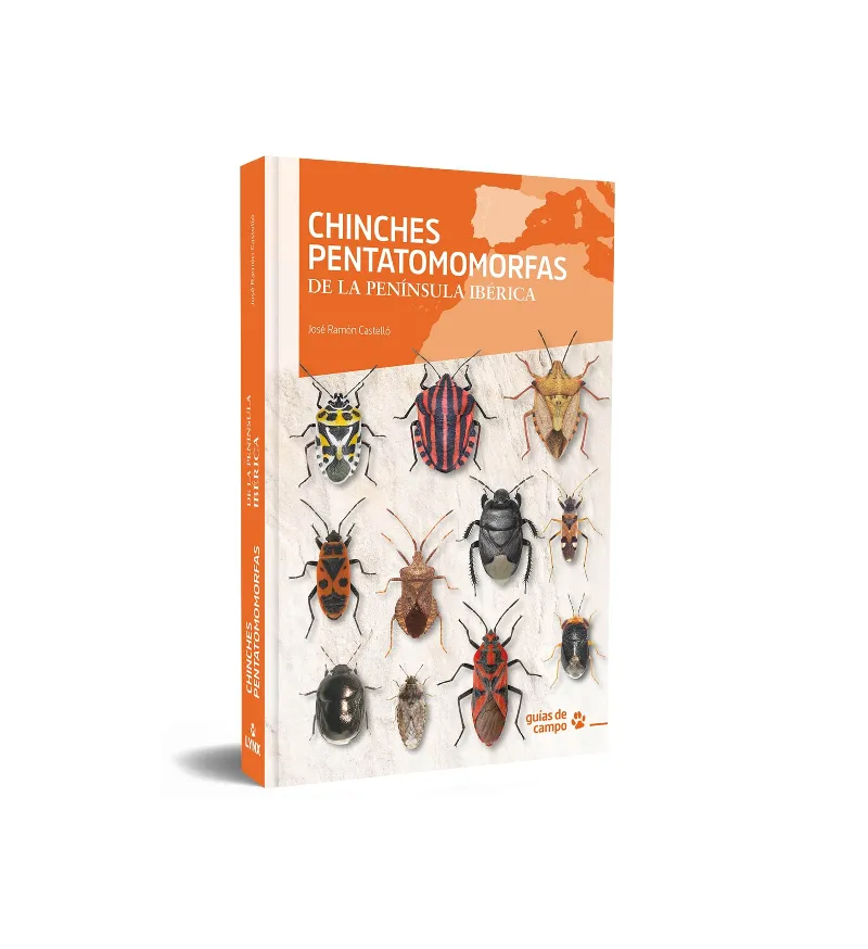 CHINCHES PENTATOMOMORFAS DE LA PENÍNSULA IBÉRICA