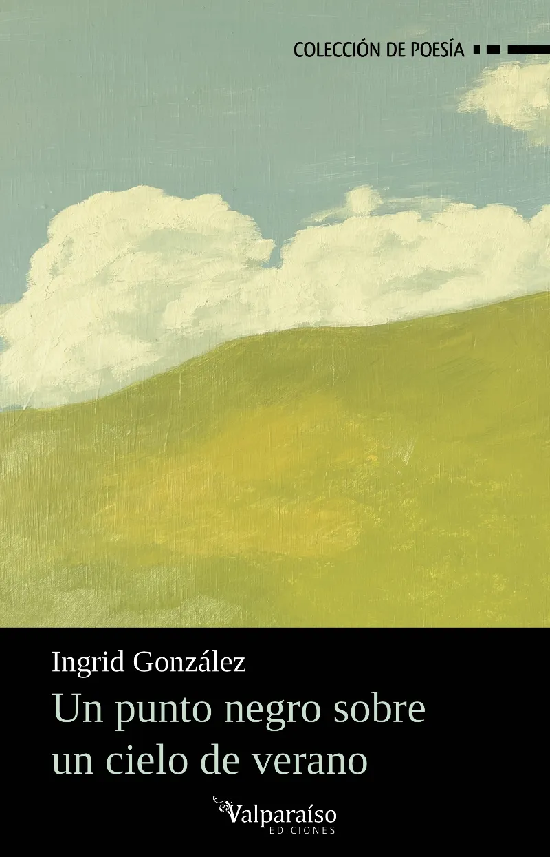 UN PUNTO NEGRO SOBRE UN CIELO DE VERANO