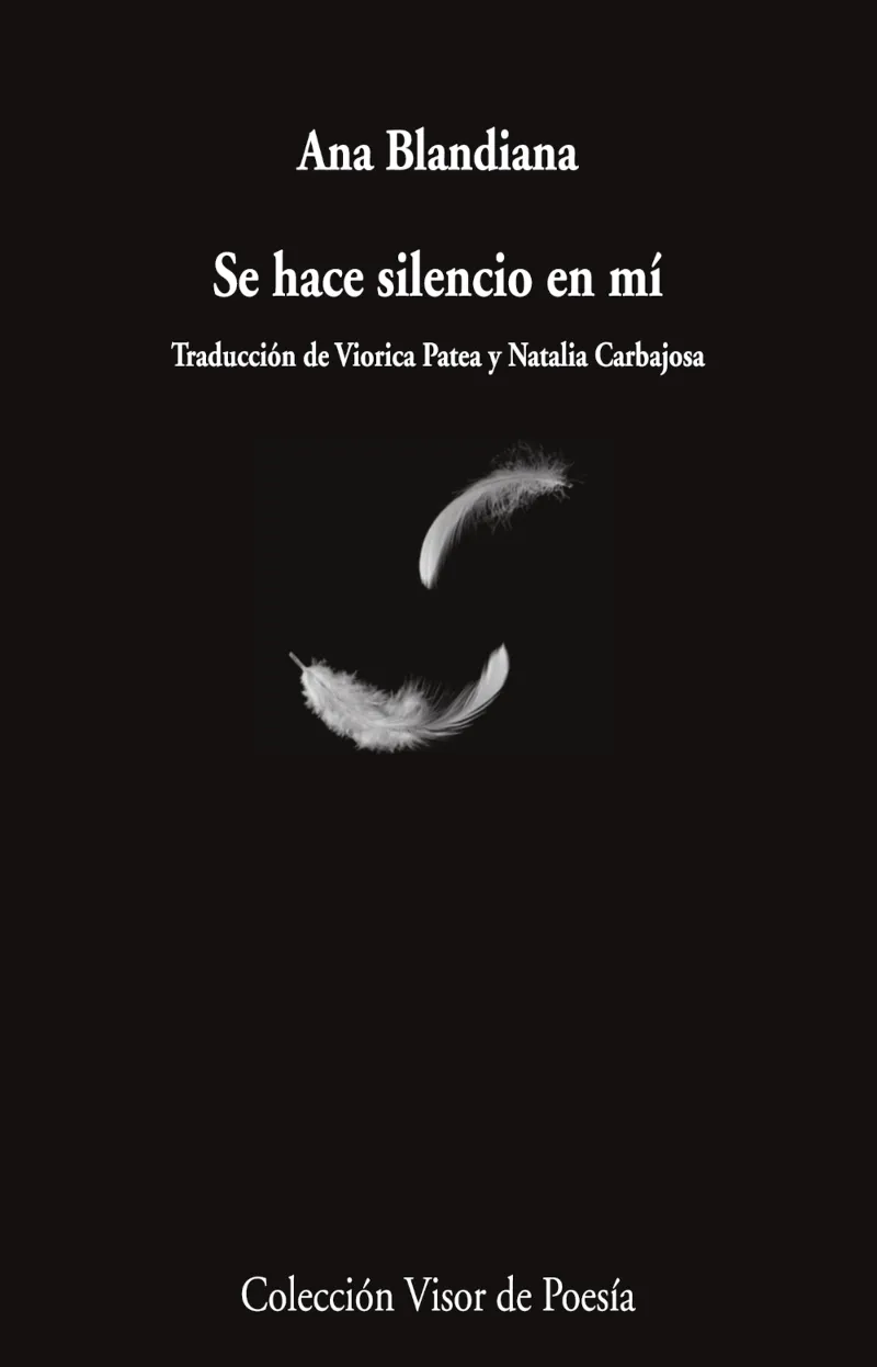 SE HACE SILENCIO EN MÍ