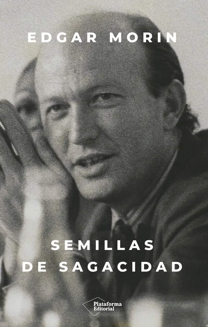 SEMILLAS DE SAGACIDAD