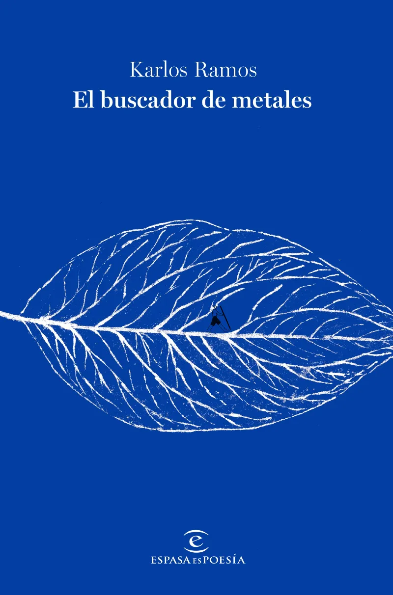 EL BUSCADOR DE METALES