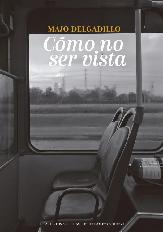 CÓMO NO SER VISTA