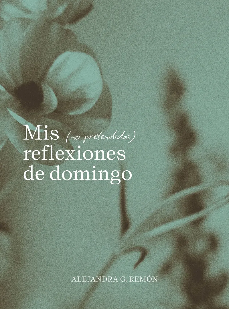 MIS (NO PRETENDIDAS) REFLEXIONES DE DOMINGO