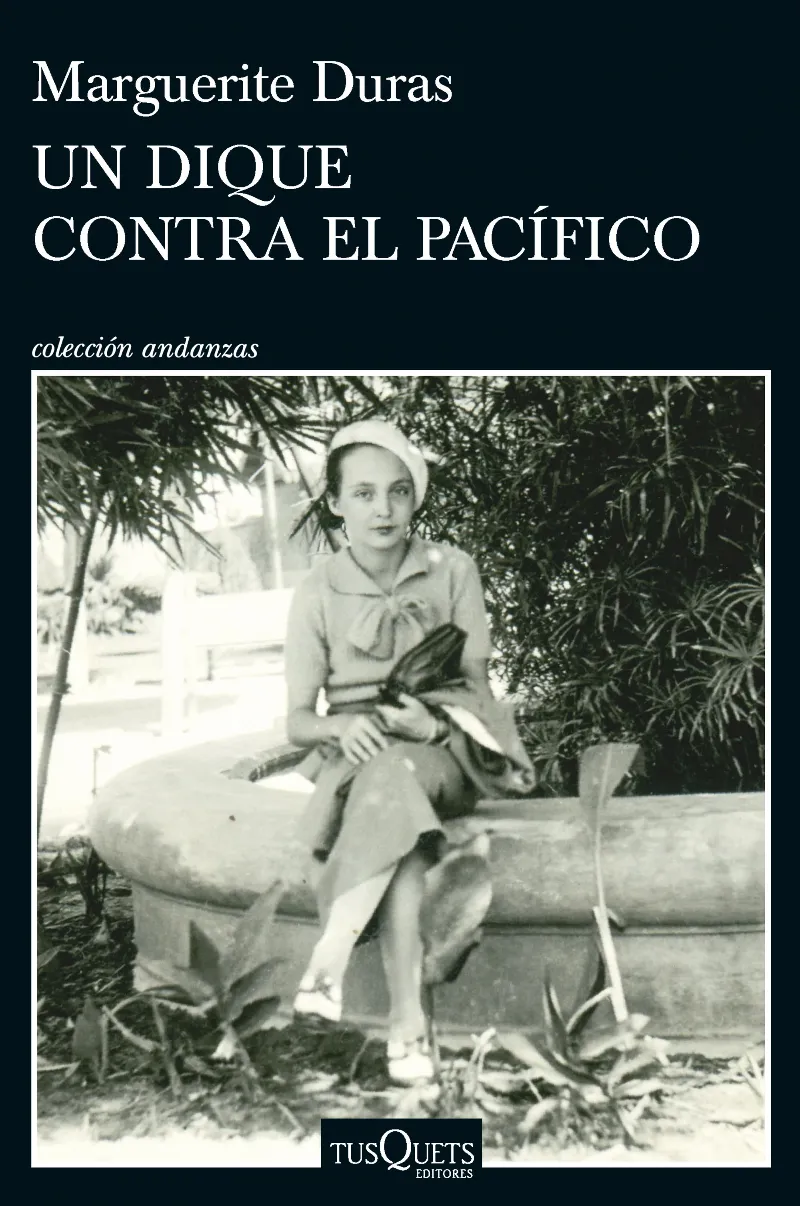 Un dique contra el Pacífico