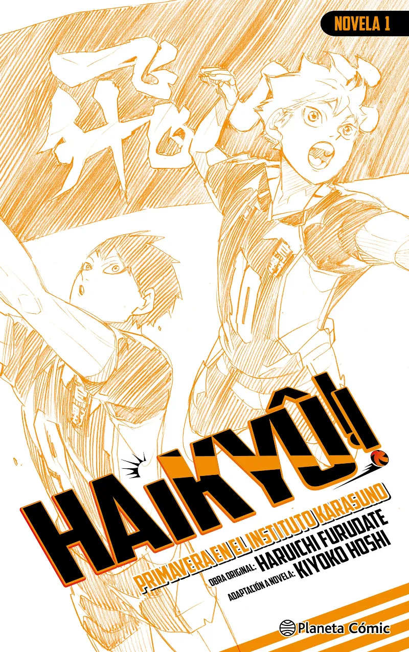 HAIKYÛ!! (NOVELA) 01
