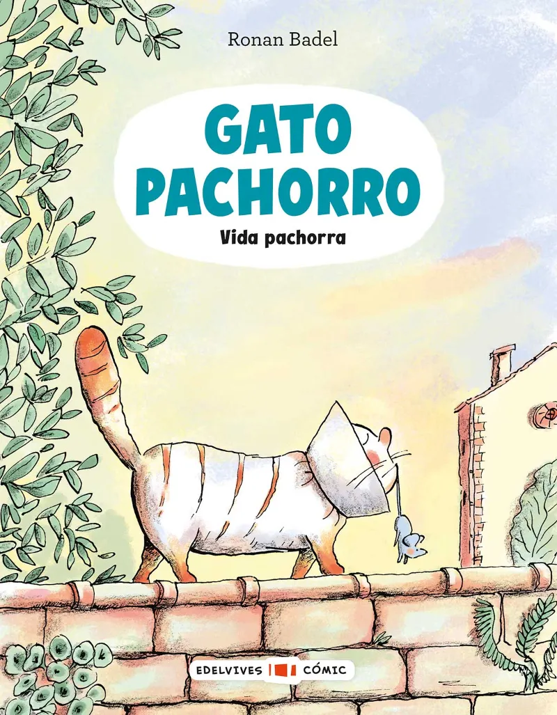 VIDA PACHORRA + 7AÑOS