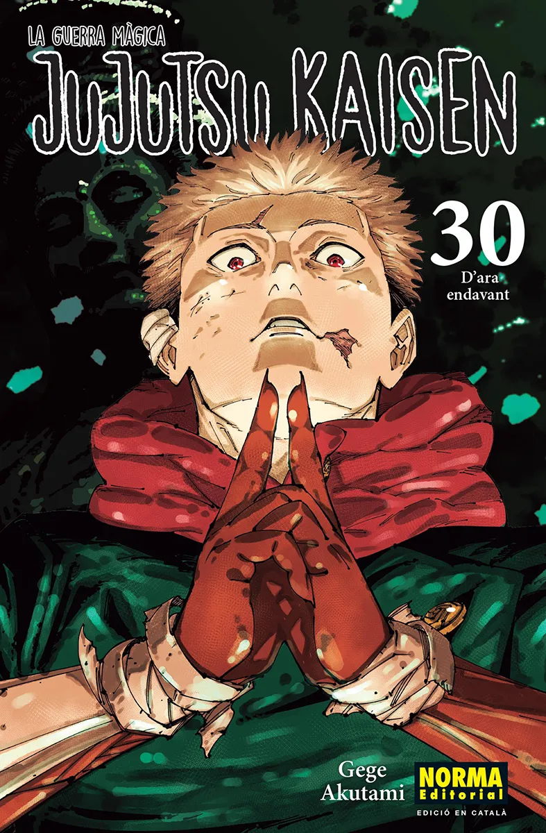 JUJUTSU KAISEN 30 -CATALA-