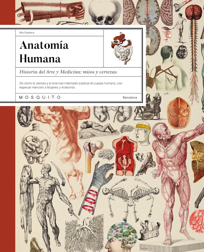 ANATOMÍA HUMANA