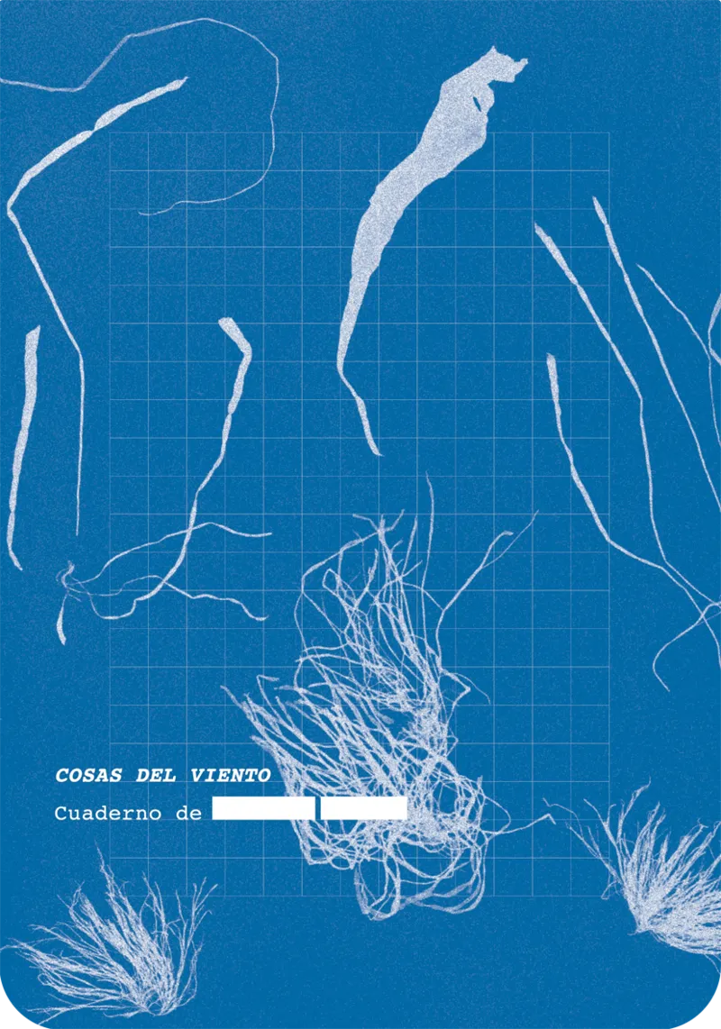 COSAS DEL VIENTO