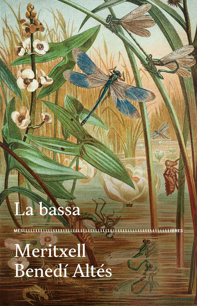 LA BASSA