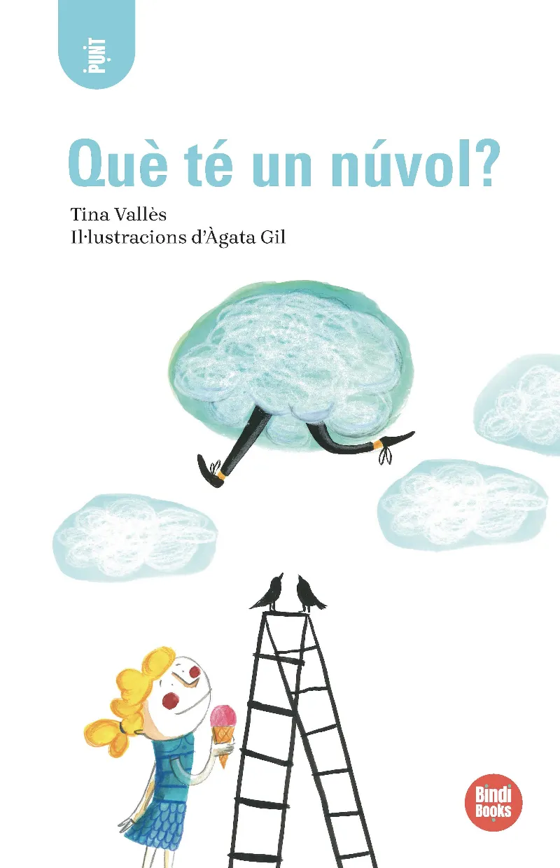 QUÈ TÉ UN NÚVOL?