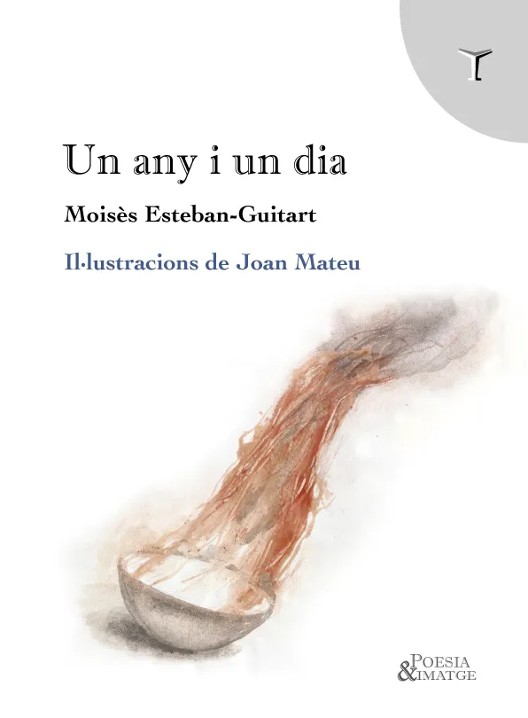 UN ANY I UN DIA