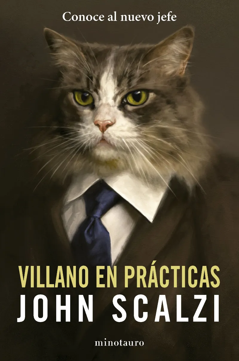 VILLANO EN PRÁCTICAS