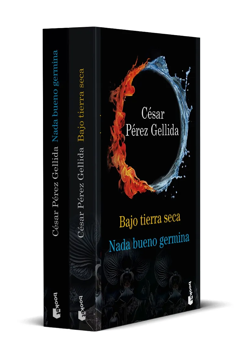 BAJO TIERRA SECA / NADA BUENO GERMINA (PACK)