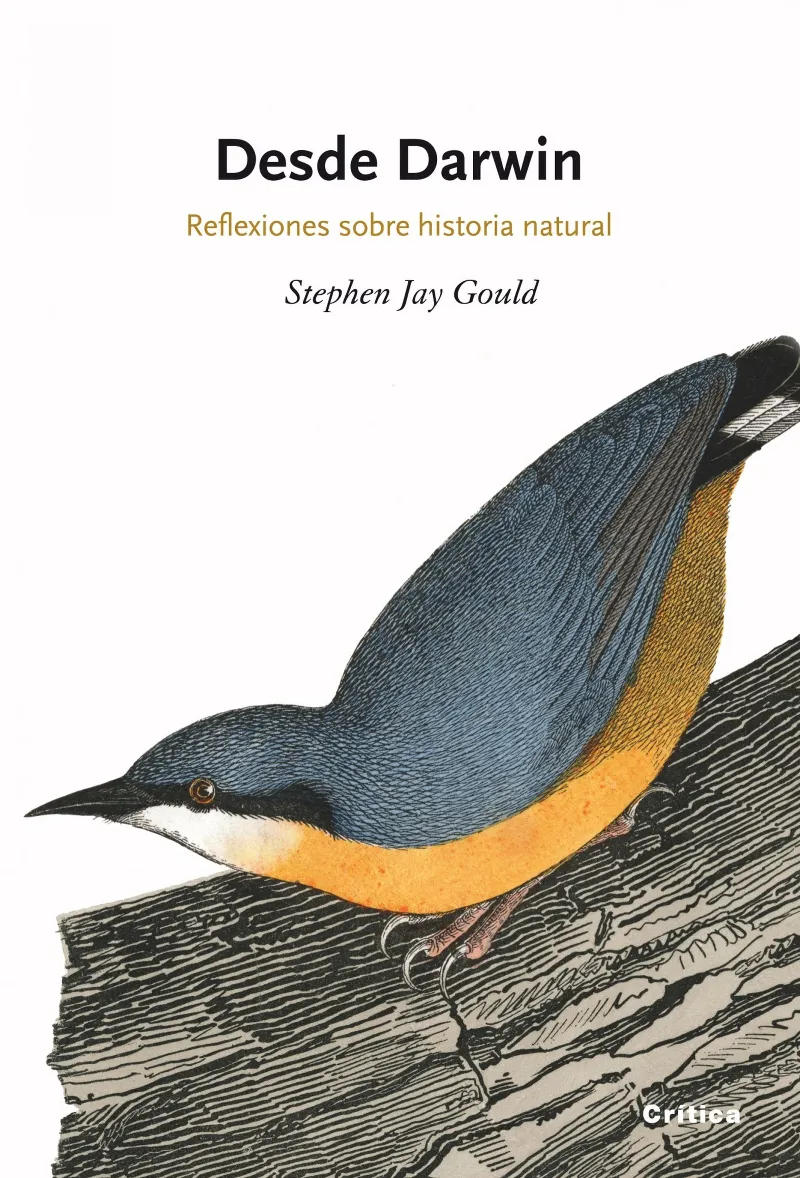 DESDE DARWIN -REFLEXIONES SOBRE HISTORIA NATURAL-