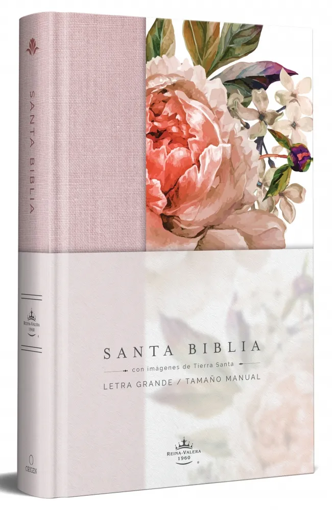 BIBLIA REINA VALERA 1960 LETRA GRANDE