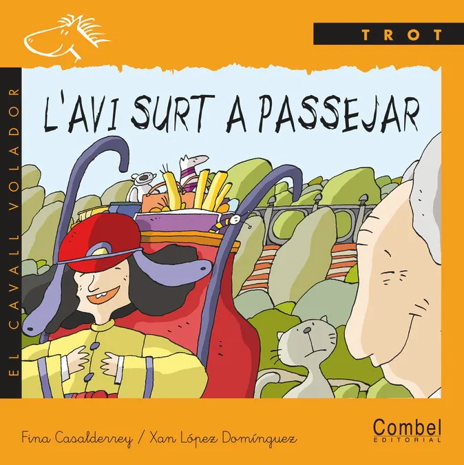 AVI SURT A PASSEJAR,L'