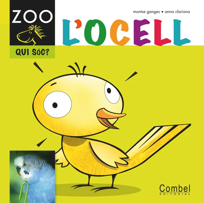 OCELL,L' -ZOO QUI SOC-