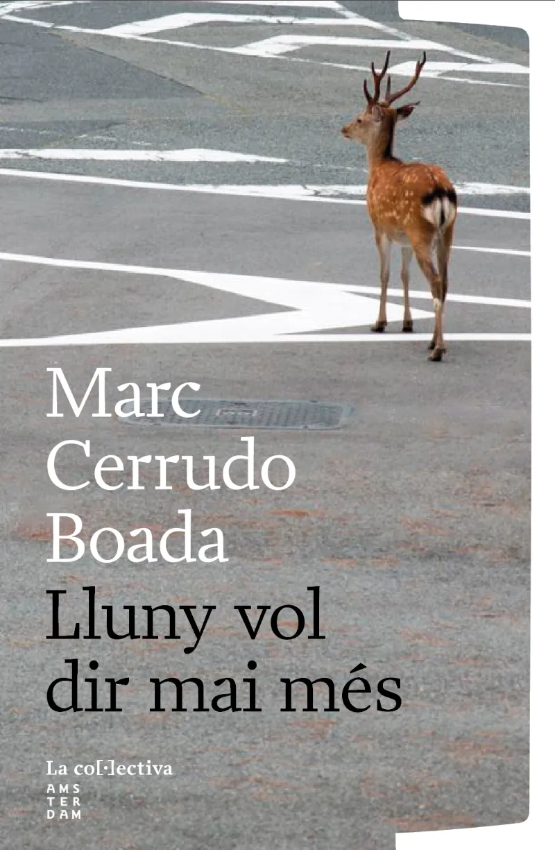 LLUNY VOL DIR MAI MÉS