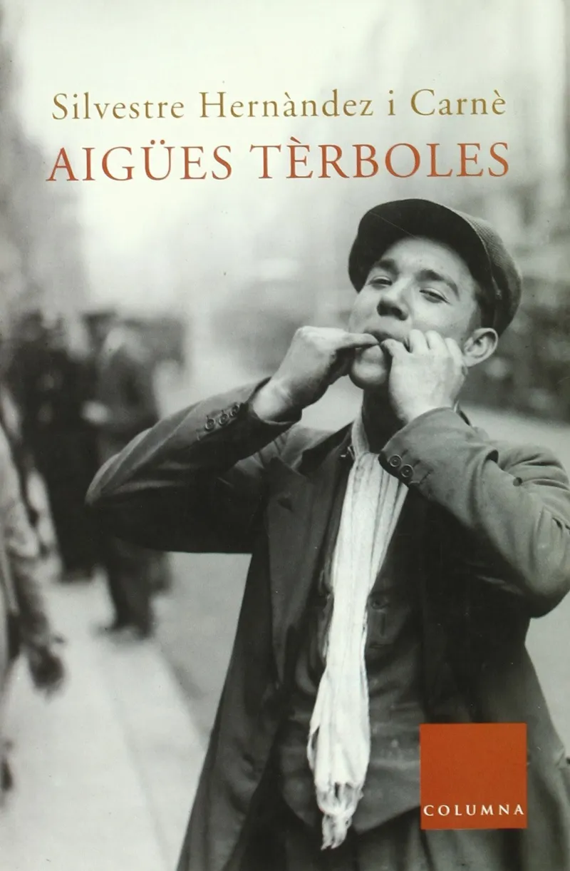 Aigües tèrboles