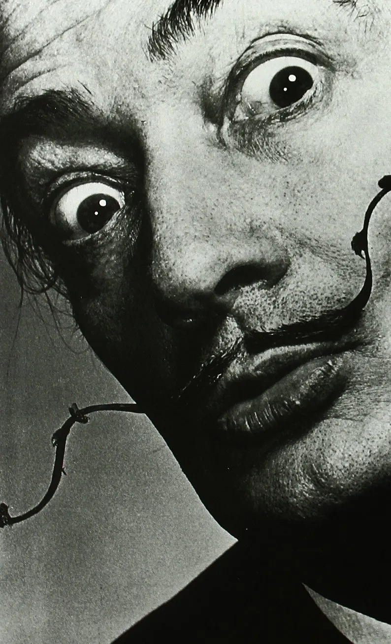 Obra completa Salvador Dalí vol. 7 - Entrevistes