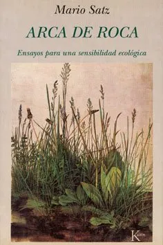 Arca de roca