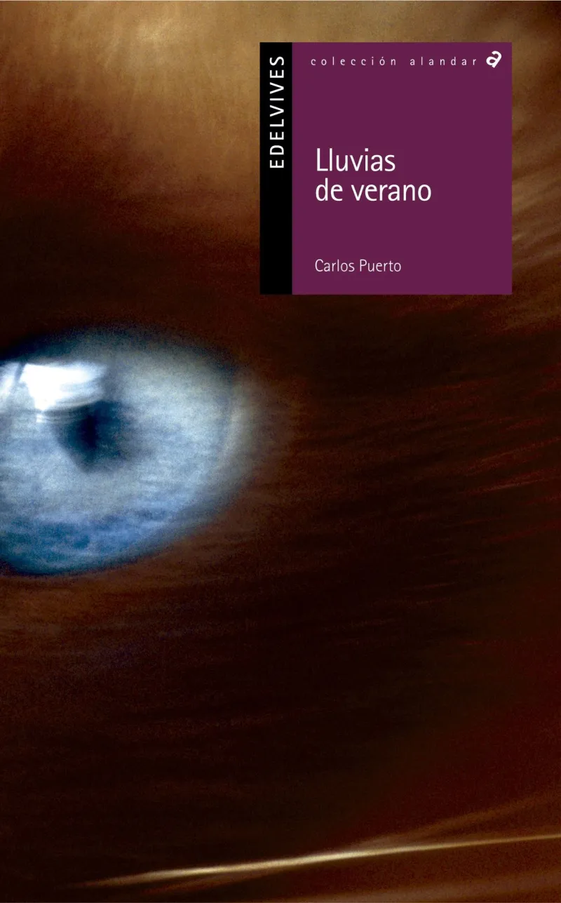 LLUVIAS DE VERANO (PSICOLOGÍA-DESARROLLO PERSONAL) -57