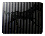 Al galop!