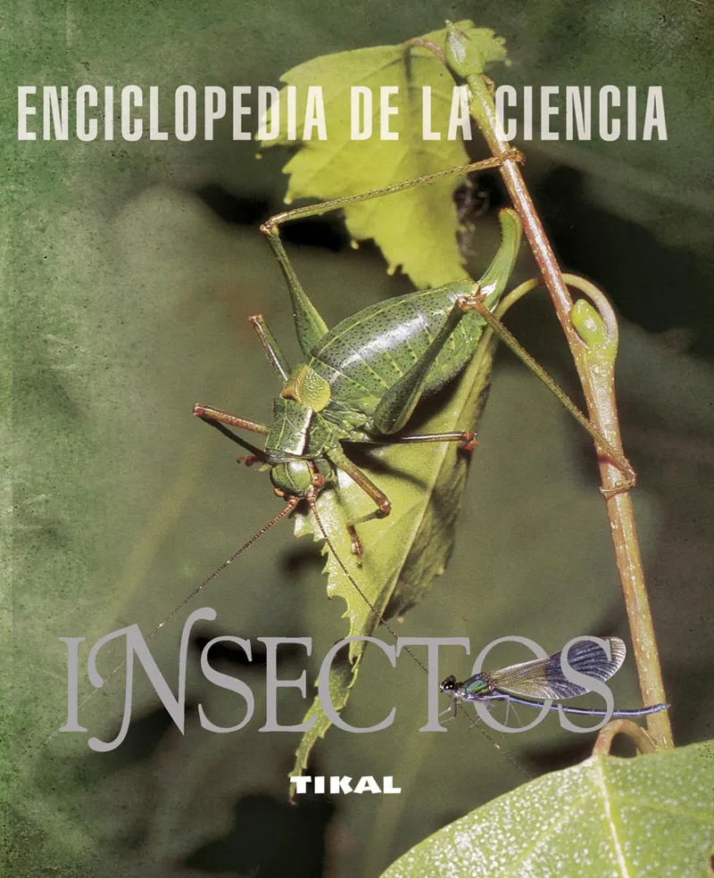 Insectos