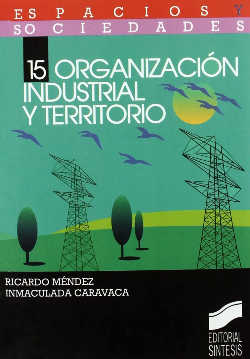 Organización industrial y territorio