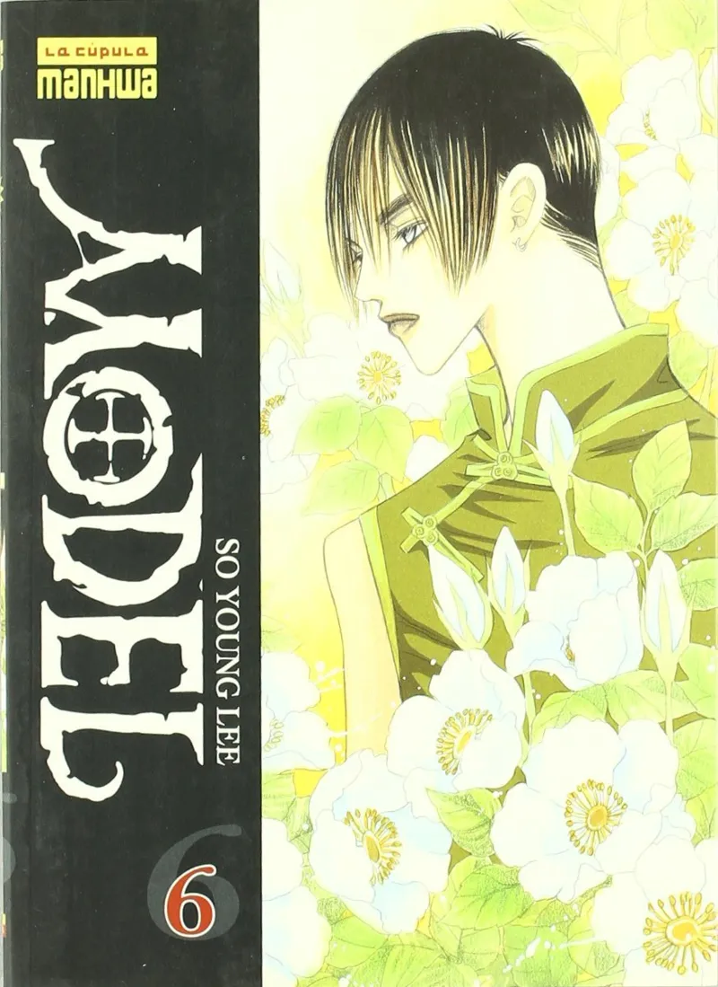 MODEL VOL 6