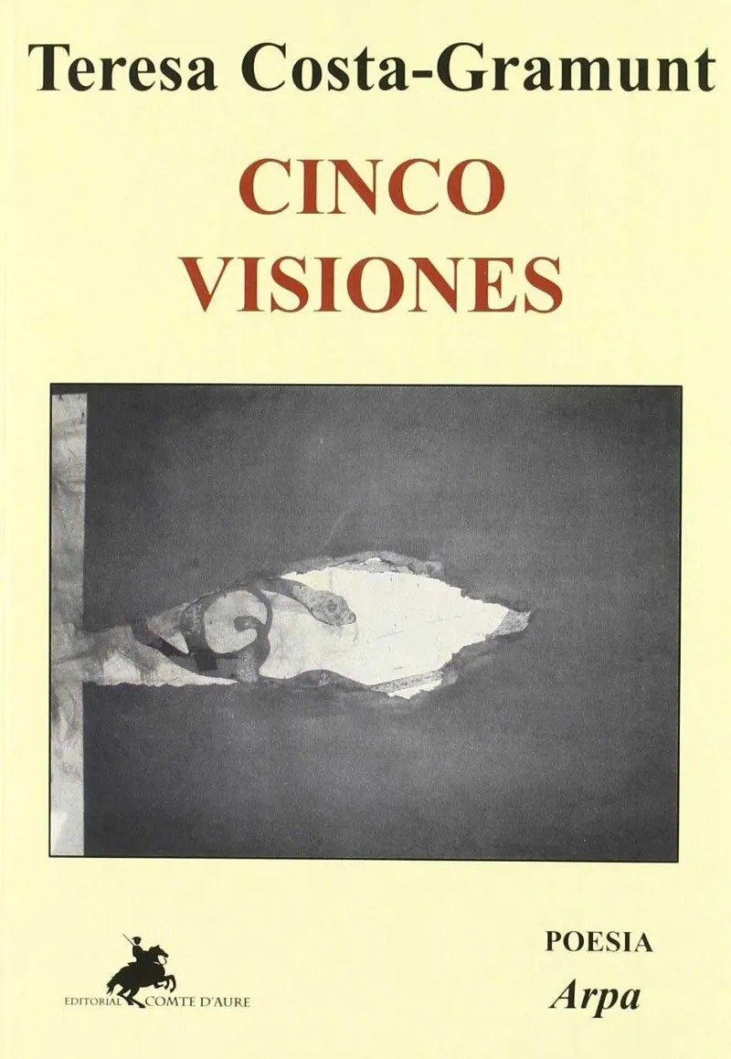 CINCO VISIONES