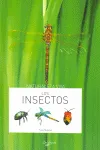 INSECTOS,LOS