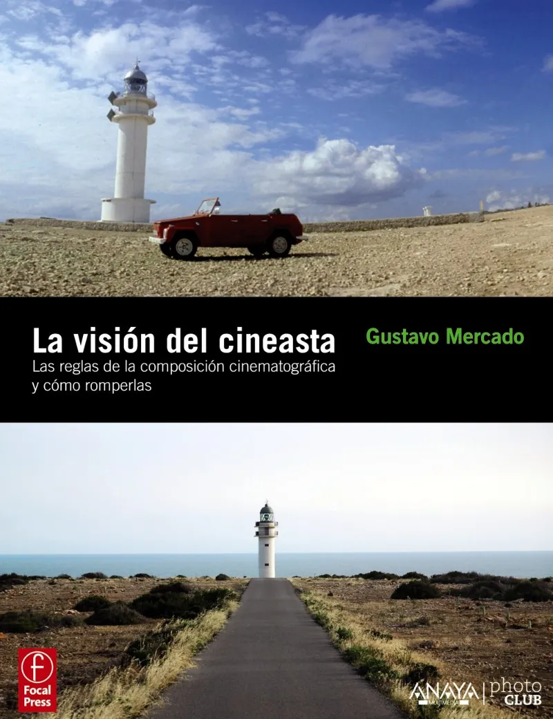 VISION DEL CINEASTA,LA