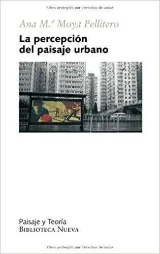 PERCEPCION DEL PAISAJE URBANO,LA