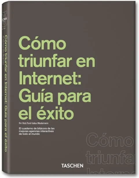 COMO TRIUNFAR EN INTERNET: GUIA PARA EL EXITO