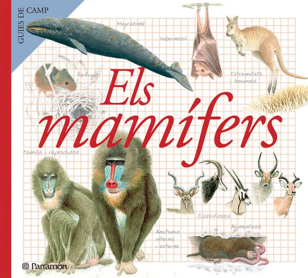 MAMIFERS,ELS