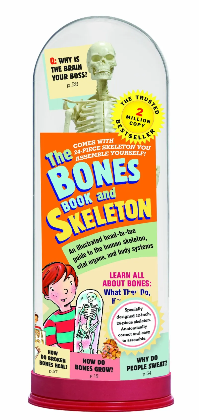 BONES BOOK AND SKELETON,THE