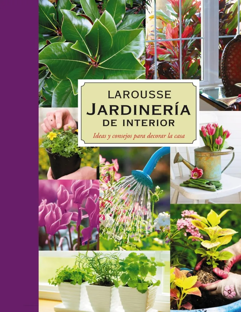 JARDINERIA DE INTERIOR