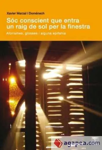 SOC CONSCIENT QUE ENTRA UN RAIG DE SOL PER LA FINE