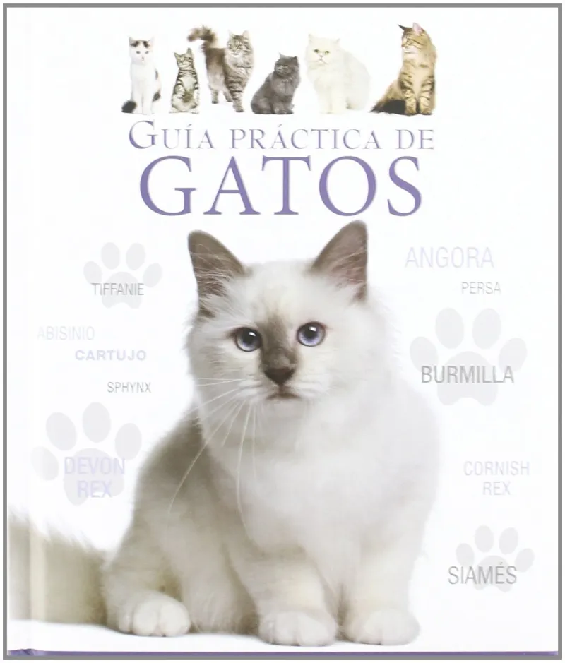 GUIA PRACTICA DE GATOS