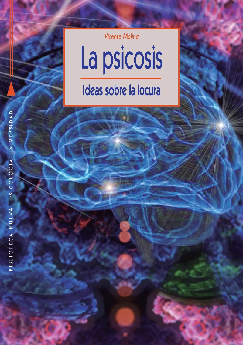 PSICOSIS,LA -IDEAS SOBRE LA LOCURA-