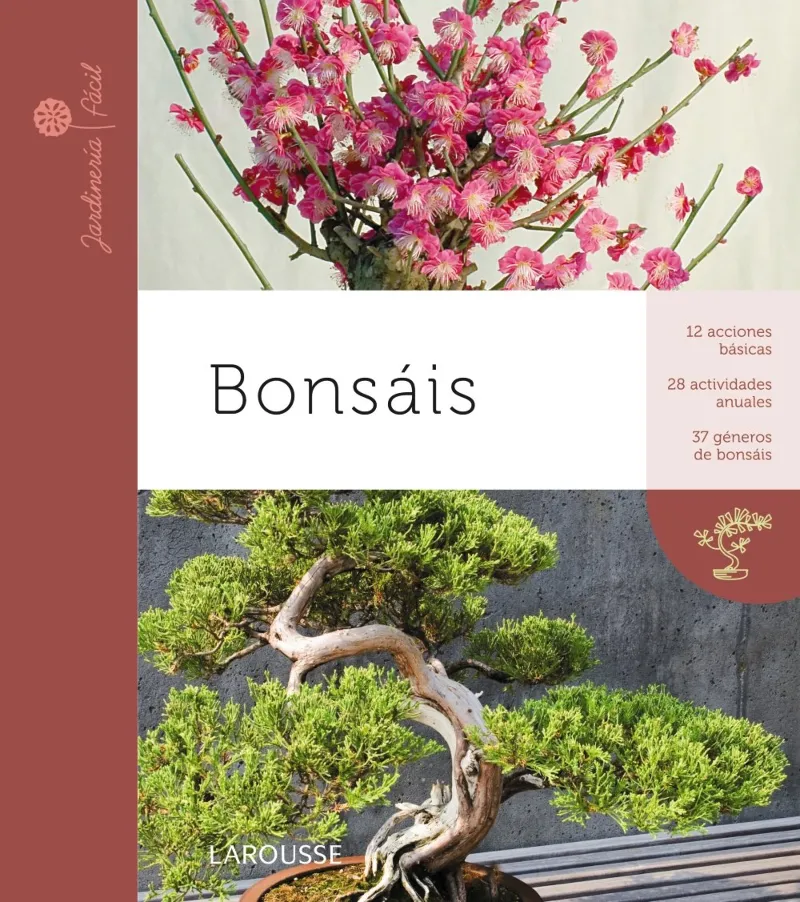 BONSAIS -12 ACCIONES BASICAS ..-